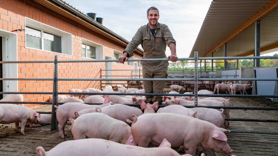 Zukunftsfelder im Fokus // Stallumbau für mehr Tierwohl