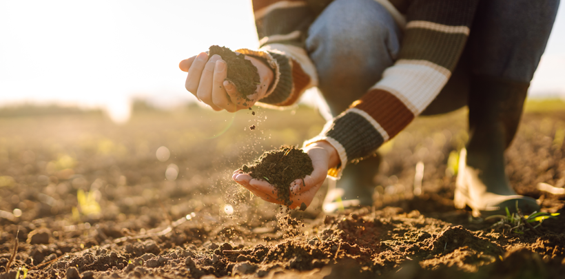 Frau kniet auf einem Feld und nimmt Erde in die Hand