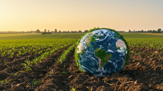 Globus mit Vegetation auf einem gepflügten Feld bei Sonnenuntergang, Konzept der nachhaltigen Landwirtschaft