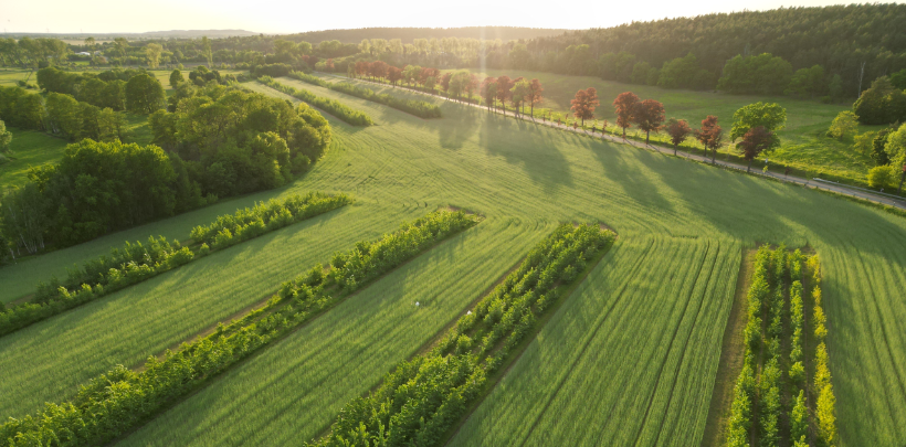 Blick aus der Vogelperspektive auf grüne Felder und Wälder