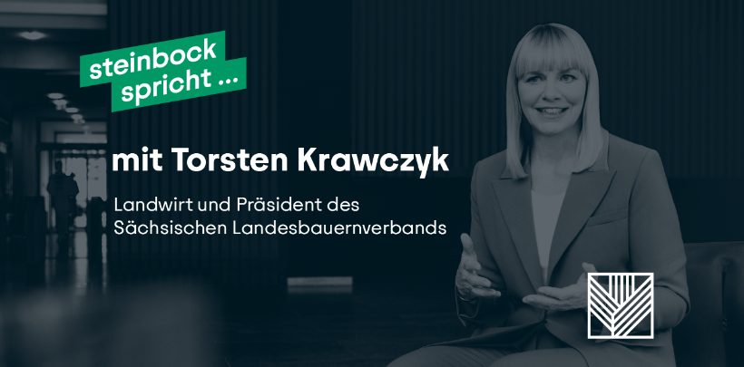 Nikola Steinbock sitzt auf einem Stuhl im Foyer des Goldenen Hauses