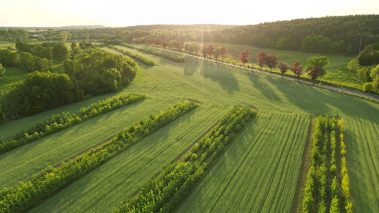 Blick aus der Vogelperspektive auf grüne Felder und Wälder