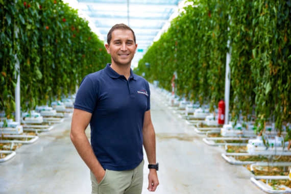 Wolfgang Steiner steht in einem modernen Gewächshaus zwischen hohen, dicht bepflanzten Tomatenreihen. Er trägt ein dunkelblaues Poloshirt mit sichtbarem Logo und helle Hosen. Die Umgebung ist hell ausgeleuchtet, der Boden sauber und mit technischen Installationen versehen. Im Hintergrund sind zahlreiche grüne Tomatenpflanzen zu sehen, die an weißen Gestellen wachsen. Das Bild vermittelt einen Bezug zur Geothermie, da die moderne Gewächshaustechnik häufig mit nachhaltigen Energiequellen wie Geothermie kombiniert wird.