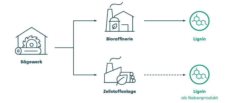 Kreisdiagramm zeigt: Holz besteht zu 45 % aus Zellulose, 30 % Hemizellulose und 25 % Lignin.