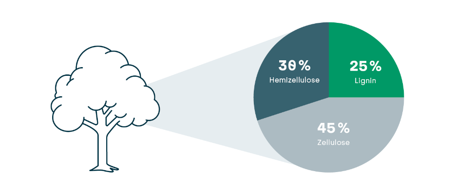 Grafische Darstellung der Lignin-Wertschöpfungskette
