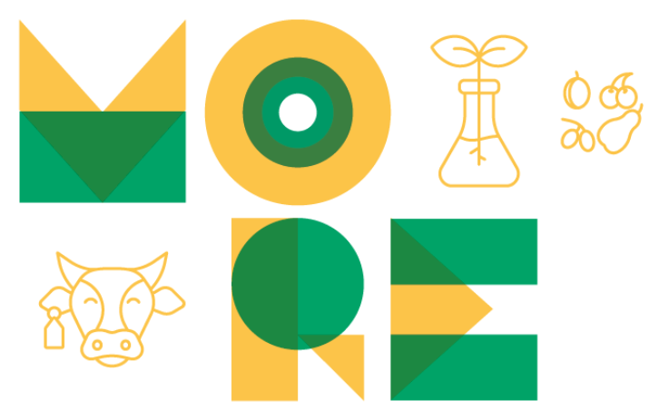 Flyer Stipendium Schriftzug