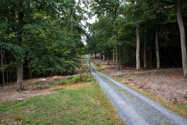 Die Grimmelschneise im hessischen Wetterau. (Nachhaltigkeits-Projekt: Grimmelschneise) Bei dem Projekt „Grimmelschneise“ werden an Waldrändern im hessischen Wetterau, Nahrungs- und Jagdhabitate für Fledermäuse und Vögel optimiert, indem bessere Lebensbedingungen für Insekten geschaffen werden. Das Bild zeigt die Grimmelschneise.