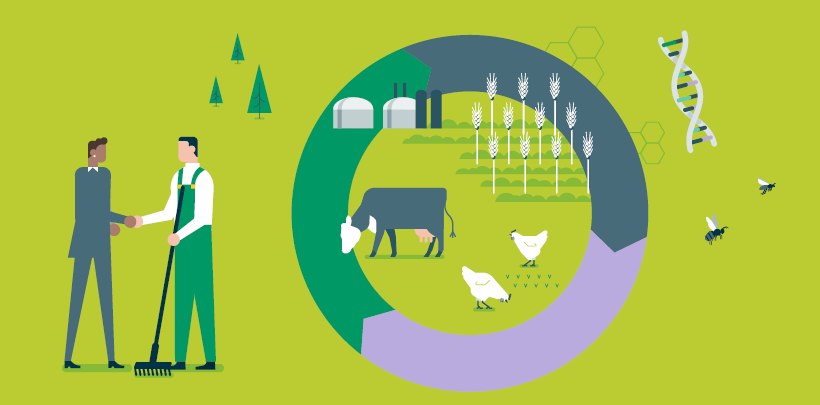 Zur Studie "Zwischen Risiko und Verantwortung: Eine Marktstudie zur Berücksichtigung von Biodiversität im Agrarbanking"