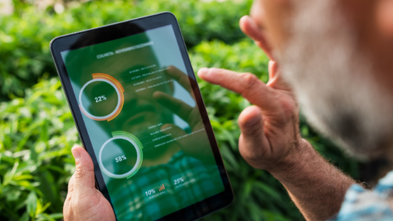 Mann steht im Feld und schaut sich Auswertungen auf einem Tablet an