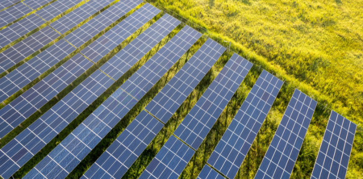 Rentenbank fördert Ausbau erneuerbarer Energien deutlich über Vorjahr Mehrere Reihen von Solarmodulen verlaufen parallel über eine große, grüne Wiese. Die Module sind rechteckig angeordnet und reflektieren das Tageslicht. Zwischen den Reihen bleibt jeweils ein schmaler Streifen Gras sichtbar.