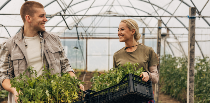 Start der Bewerbungsphase für das Pilotprojekt „Ackerpreneurs“ – Rentenbank fördert innovative Gründungen und Generationenwechsel in der Landwirtschaft Zwei Personen tragen gemeinsam Kisten mit jungen Pflanzen in einem Gewächshaus