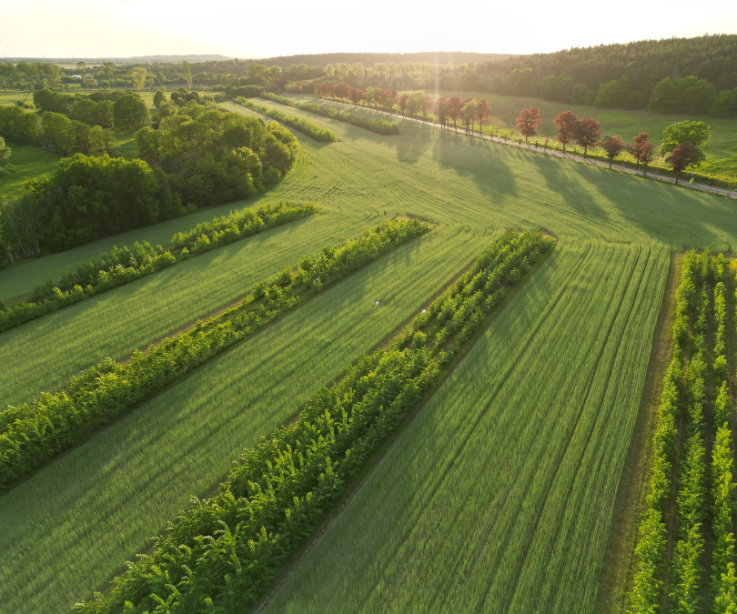 Blick aus der Vogelperspektive auf grüne Felder und Wälder